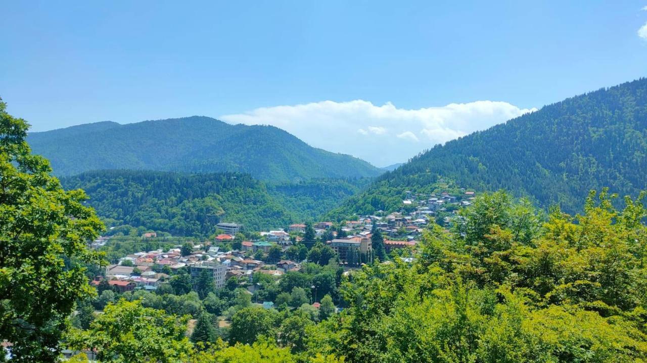 Guest House Gogias Cixe Borjomi Exterior photo